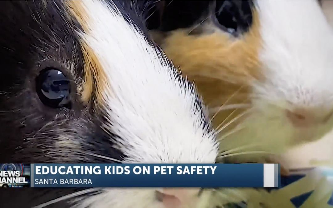 C.A.R.E.4Paws: Kids make a “pawsitive” impact on pets in Santa Barbara